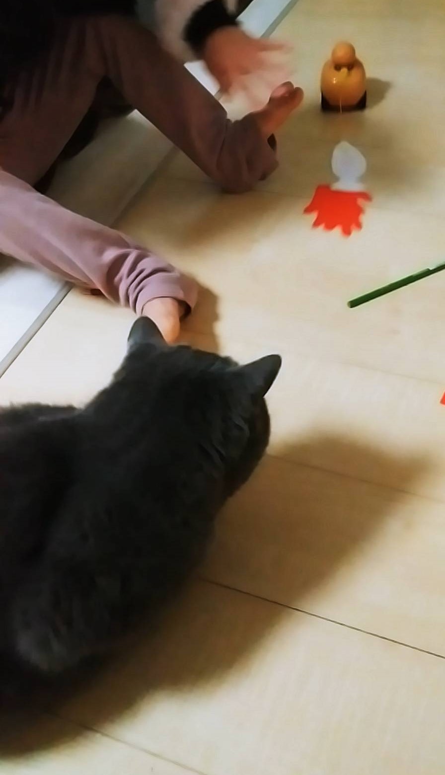 猫のおもちゃ作り